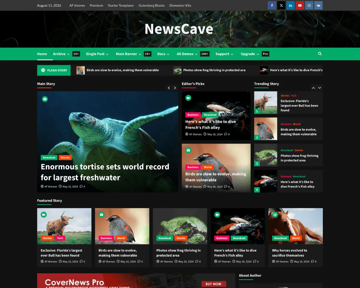 Wordpress NewsCave Haber Teması